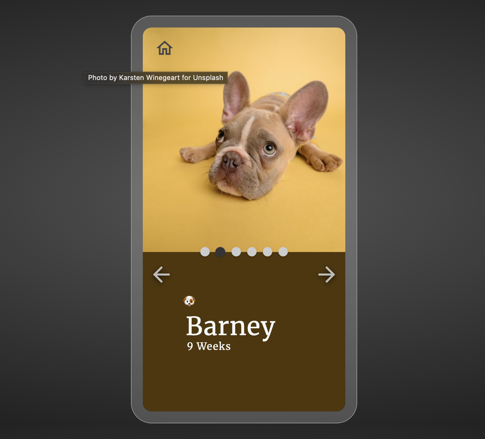View pet screen